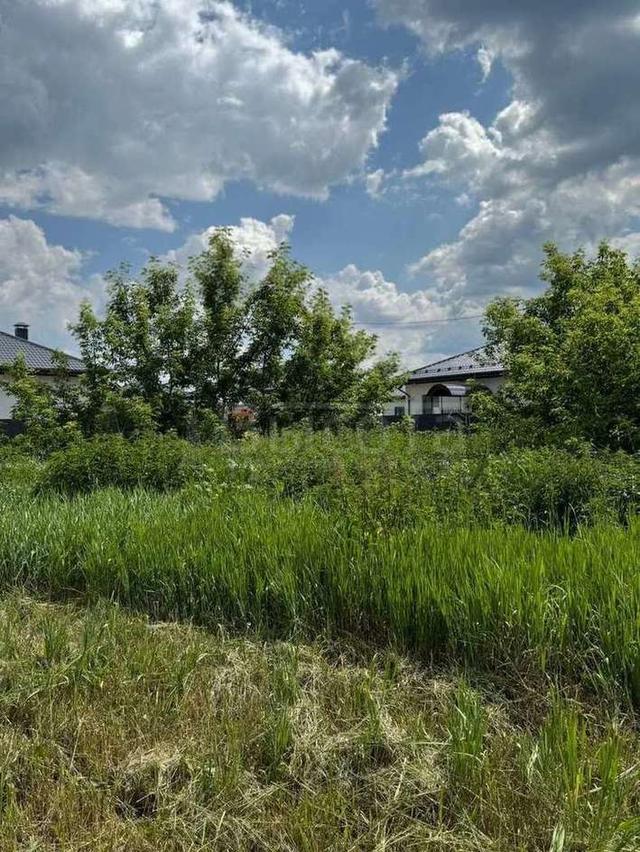 Фото Участок 25 сот: 3