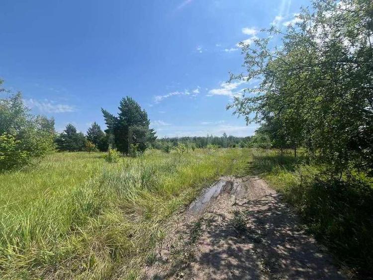 Фото объекта недвижимости под номером 128 за 600000 рублей