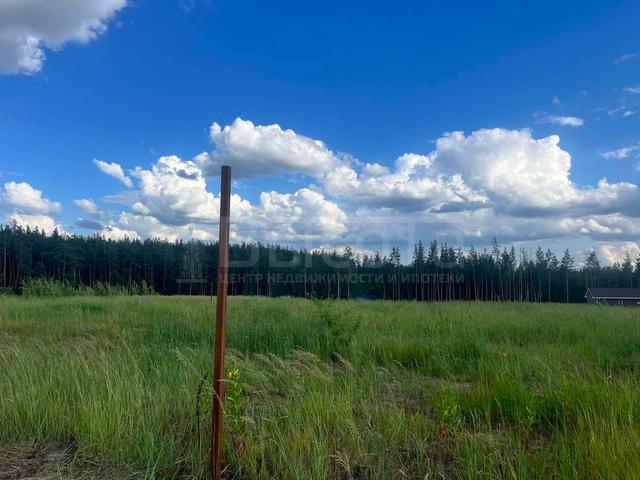 Фото Участок 4.2 сот: 6