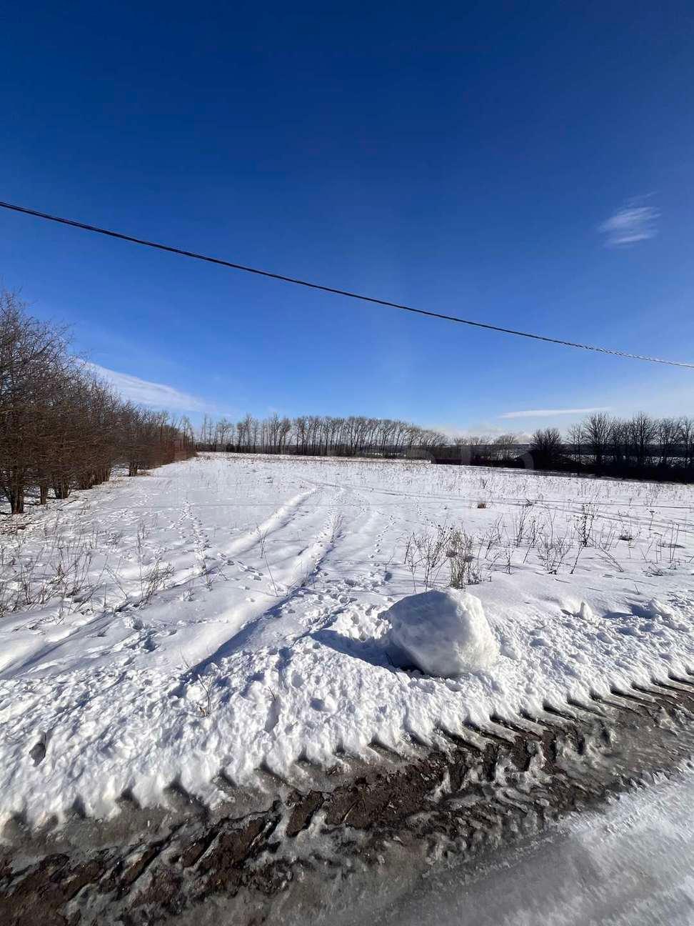 Фото Участок 50 сот: 1