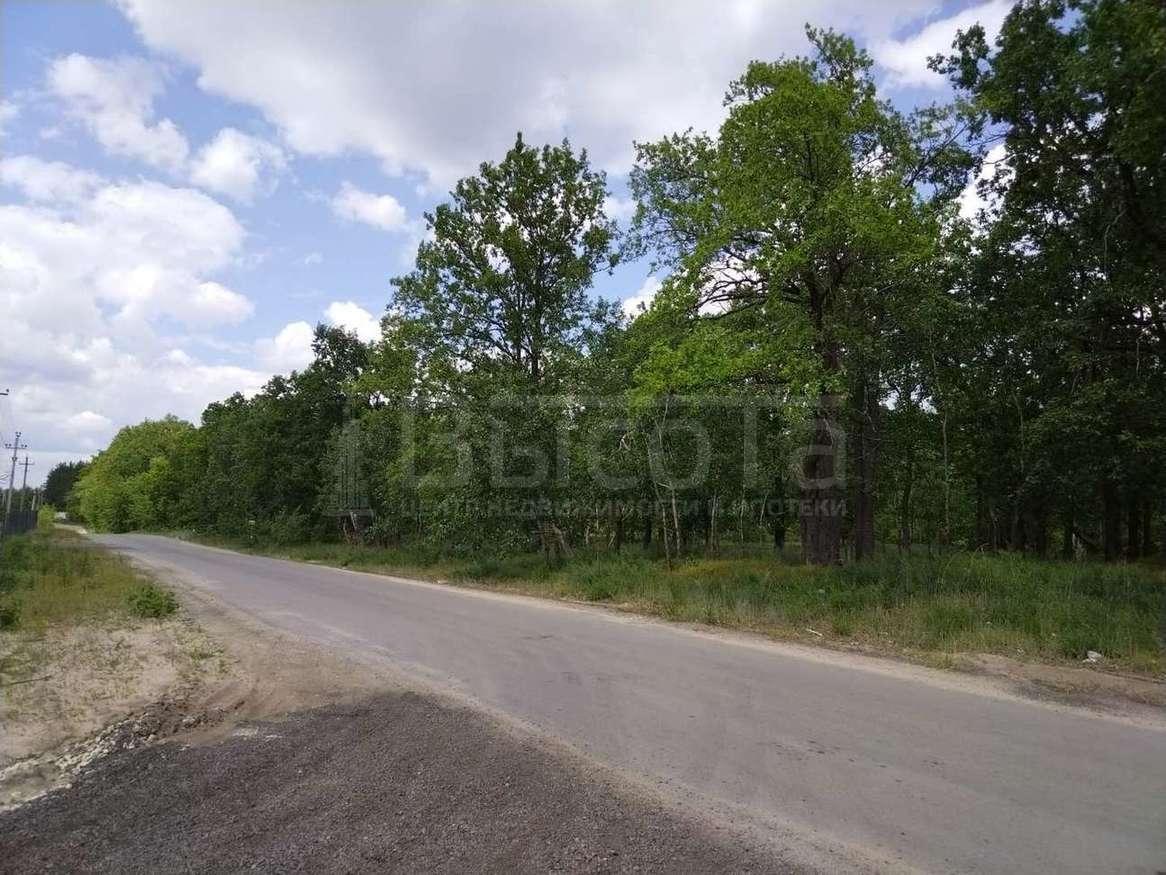 Фото 1-этажный дом 98 м2: 13