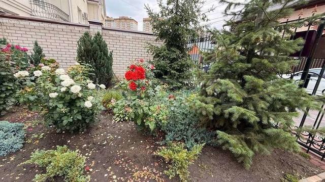 Фото 1 комнатная квартира 50 м2 этаж 2/3: 14