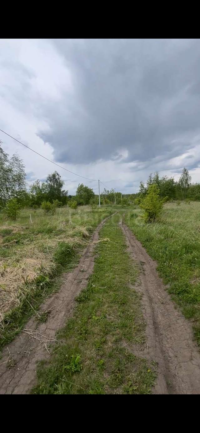 Фото Участок 6 сот: 4