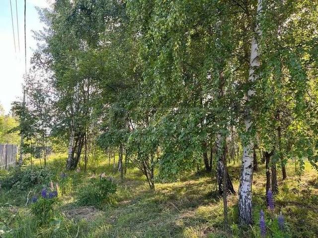 Фото Участок 10 сот: 2