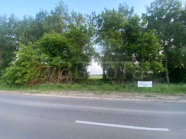 Фото Участок 100 сот: 1