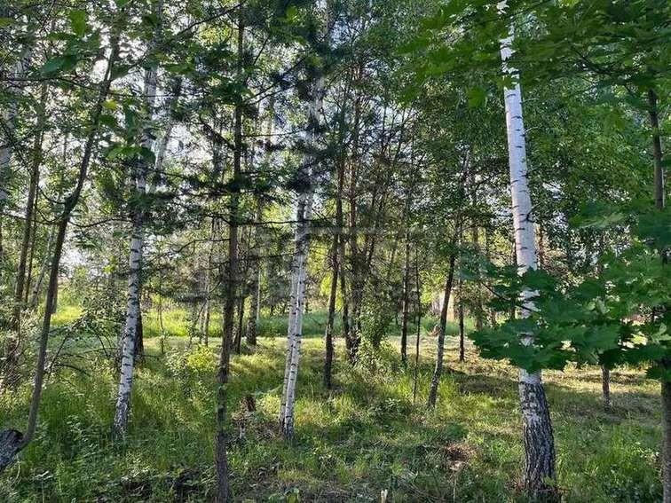 Фото Участок 10 сот: 10