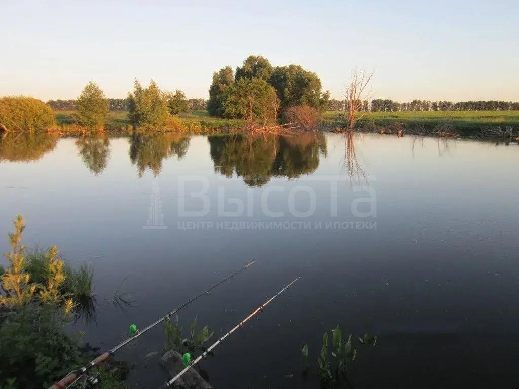 Фото Участок 45 сот: 3