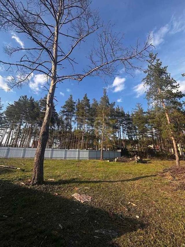 Фото Участок 15 сот: 4