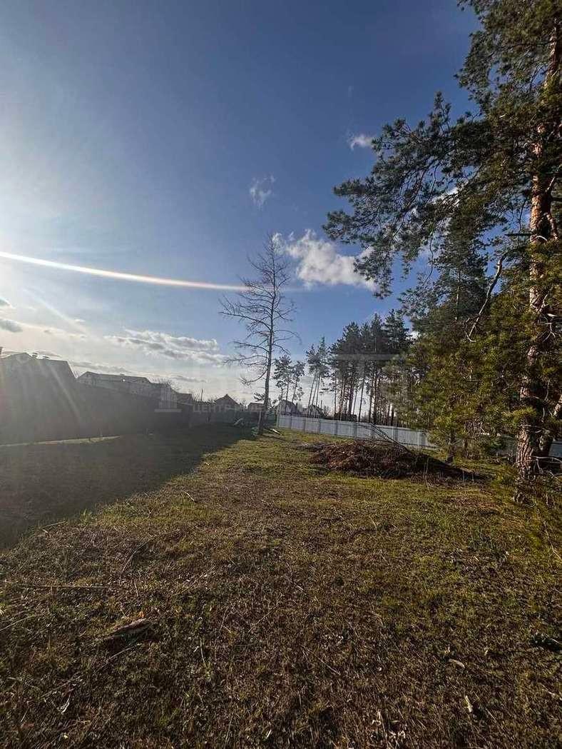 Фото Участок 15 сот: 3