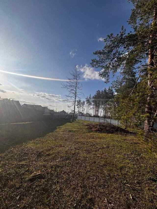 Фото Участок 15 сот: 3