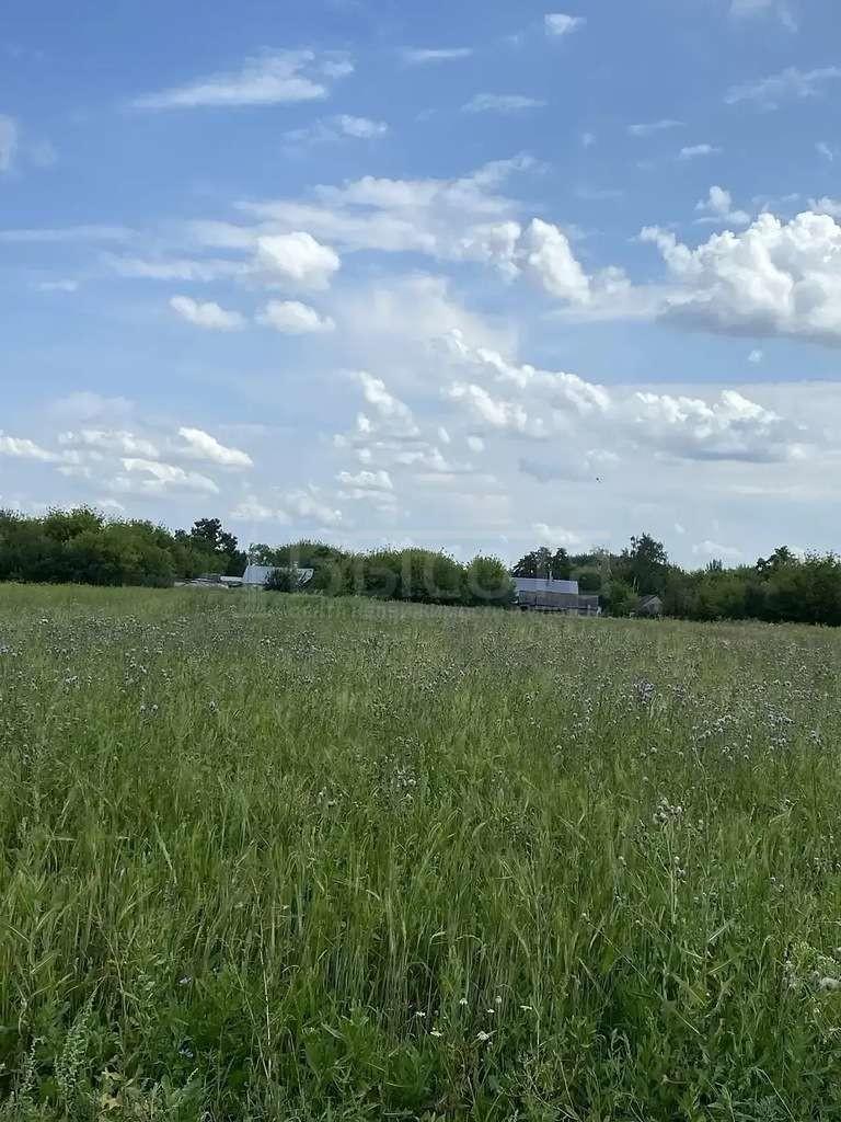 Фото Участок 45 сот: 1