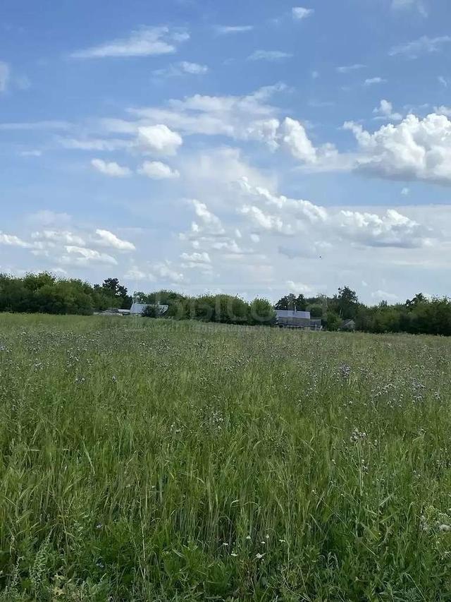 Фото Участок 45 сот: 1