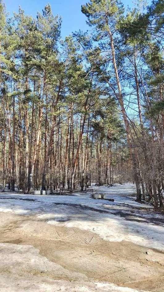 Фото 2 комнатная квартира 54 м2 этаж 1/10: 20