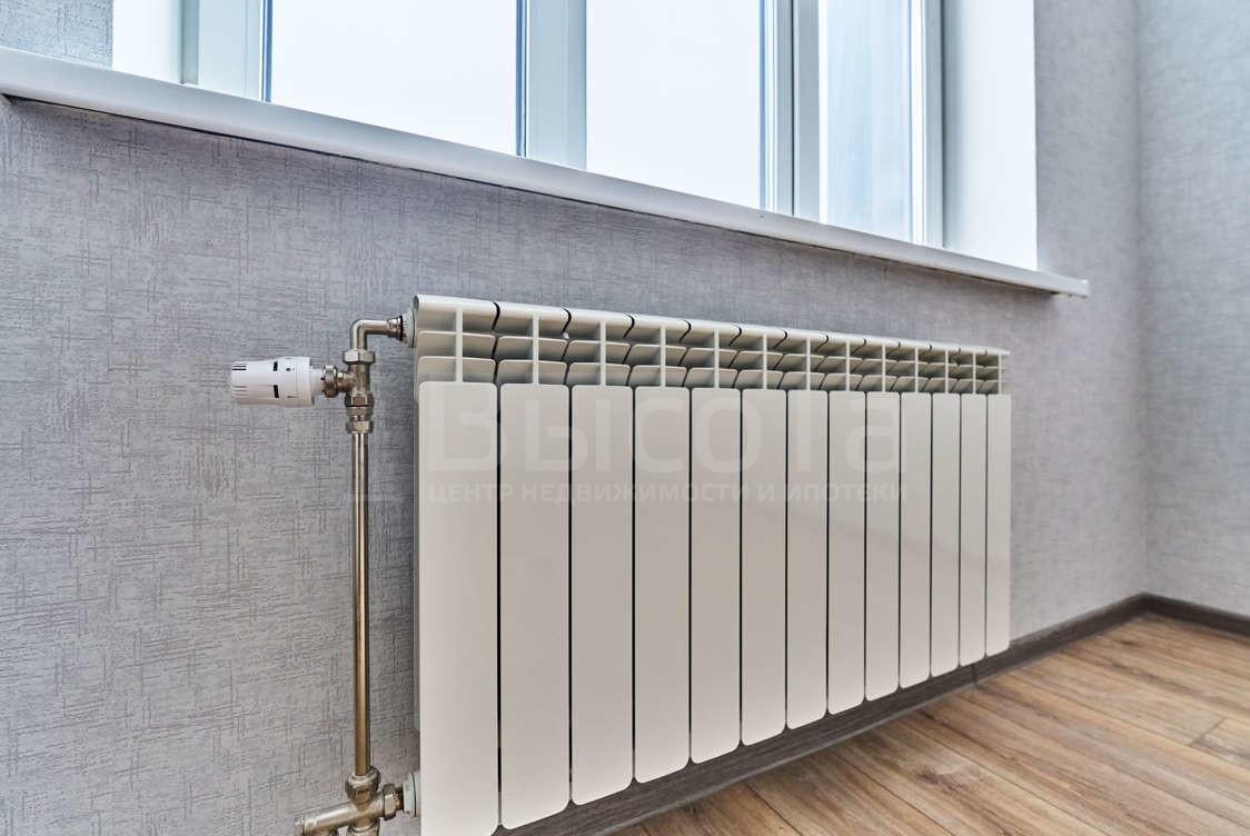 Фото 1 комнатная квартира 20.7 м2 этаж 9/17: 2